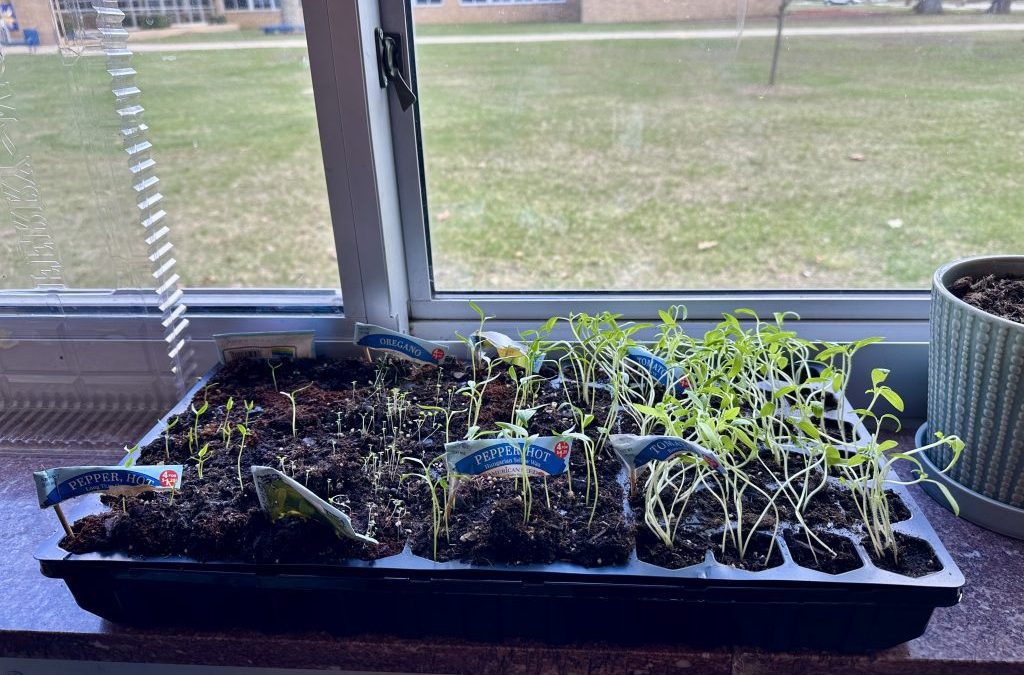 Garden-Life Skills Collaborative Effort: Garden Club Starting Soon!